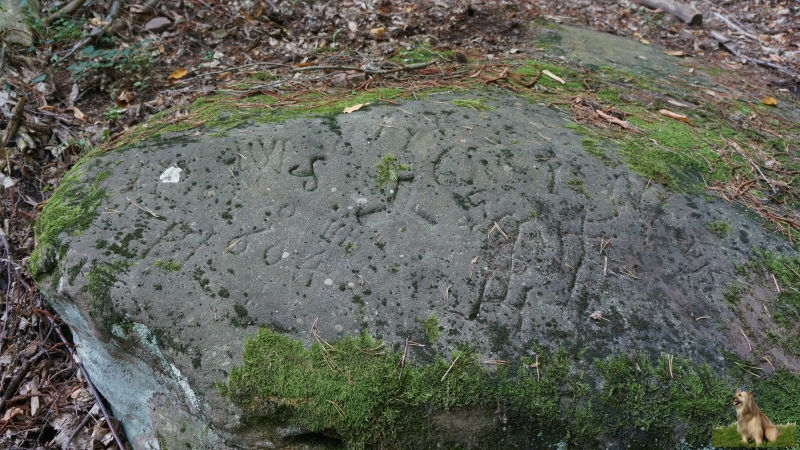 Ritterstein Nr. 236-4a Haingeraide Loogfelsen.JPG - Ritterstein Nr.236 Haingeraide Loogfelsen